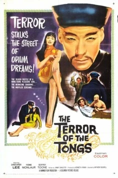 Террор тайного общества (1961) торрент