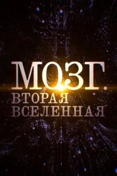 Мозг. Вторая Вселенная (2017) торрент