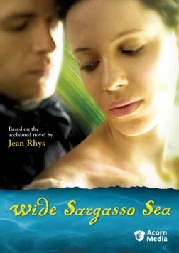 Широкое Саргассово море (2006) торрент