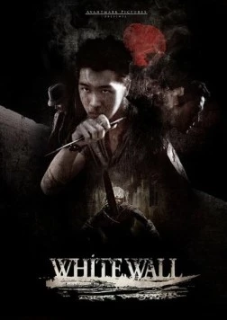 Белая стена (2010) торрент