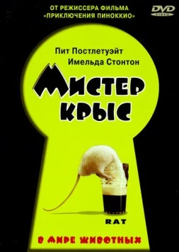 Мистер крыс (2000) торрент