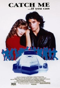 Поймай меня, если сможешь (1989) торрент