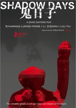 Скачать Gui ri zi(2014) фильм через торрент бесплатно