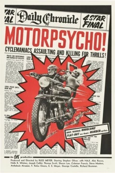 Безумные мотоциклисты (1965) торрент