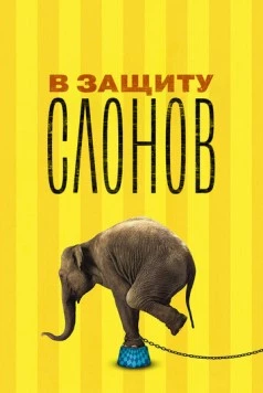 В защиту слонов (2013) торрент