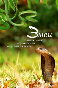 Змеи. Тайны самых смертоносных созданий на земле (2014) торрент