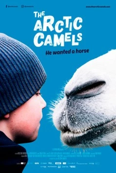 Мой друг северный верблюд (2019) торрент