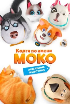 Корги по имени Моко. Домашние животные (2019) торрент