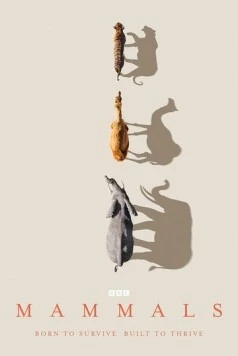 Mammals (2024) торрент