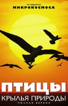 Птицы: Крылья природы (2002) торрент