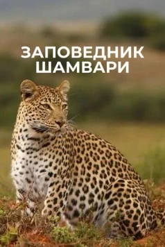 Заповедник Шамвари (2018) торрент