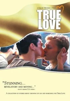 Истинная любовь (2004) торрент