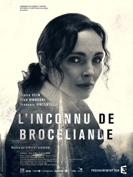 Незнакомец из Броселианда (2016) торрент