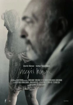Госпожа Нергиз (2014) торрент