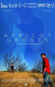 Абрикосовые рощи (2016) торрент