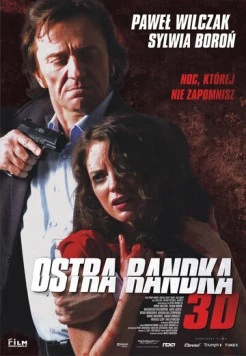 Жесткое свидание (2013) торрент