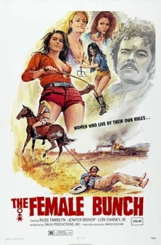 Женская компания (1971) торрент