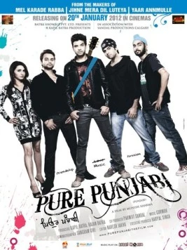 Pure Punjabi (2012) торрент