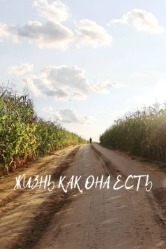 Скачать Жизнь как она есть (2024) через торрент бесплатно