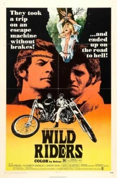Дикие мятежники (1971) торрент