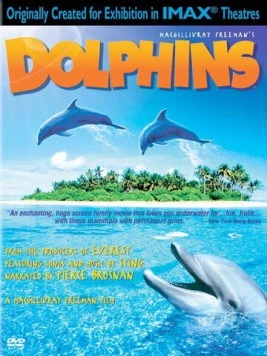 Дельфины (2000) торрент