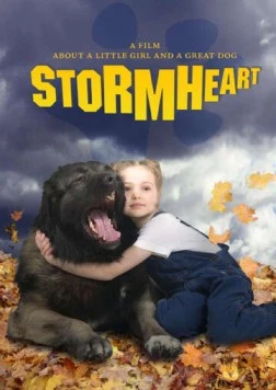 Тайфун (2008) торрент