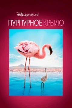 Пурпурное крыло (2008) торрент