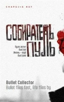 Собиратель пуль (2011) торрент