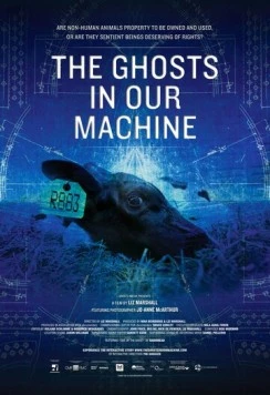 Призраки в нашей машине (2013) торрент