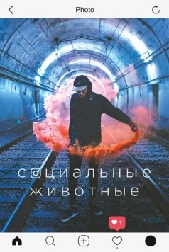 Социальные животные (2018) торрент