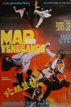 Безумная месть (1977) торрент