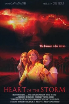 Страшнее шторма (2004) торрент