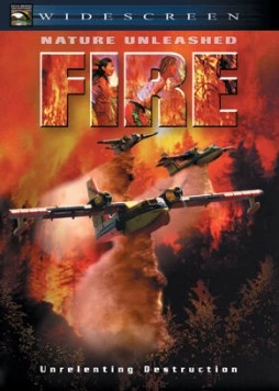 Стихия огня (2004) торрент