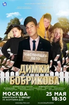 Настоящее лето Димки Бобрикова (2022) торрент