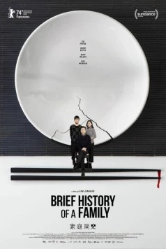 Краткая история семьи (2024) торрент