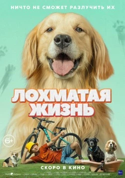 Лохматая жизнь (2023) торрент