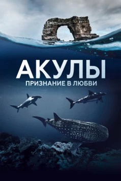 Акулы. Признание в любви (2022) торрент