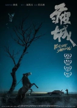 Убей тень (2017) торрент