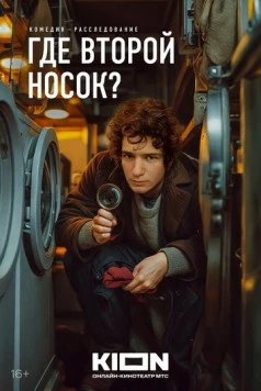 Где второй носок? (2024) торрент