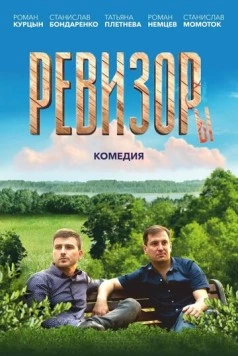 Скачать Ревизоры (2025) через торрент бесплатно