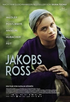 Когда поёт душа / Jakobs Ross 2024 скачать через торрент фильм в хорошем качестве