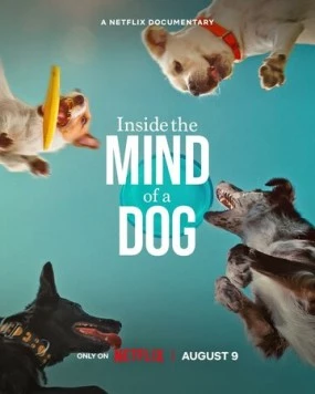 О чем думают собаки / Inside the Mind of a Dog 2024 скачать через торрент фильм в хорошем качестве