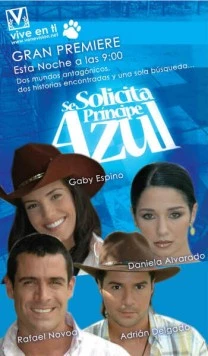 Скачать В поисках идеального мужчины / Se solicita príncipe azul(2005) фильм через торрент бесплатно