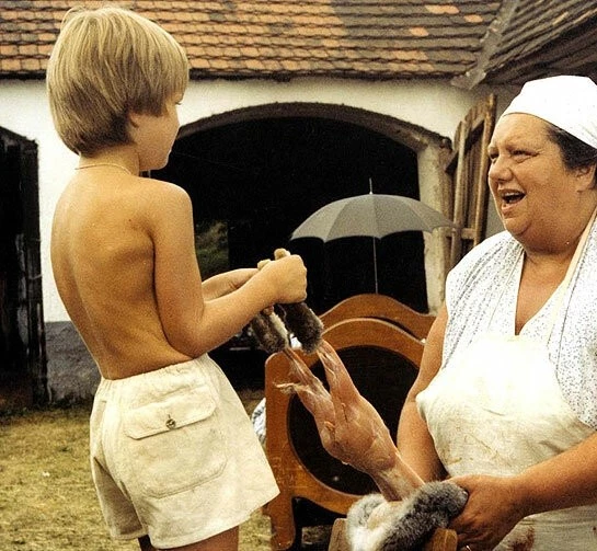 Экспериментатор (1984) через торрент бесплатно Экспериментатор (1984) фильм через торрент бесплатно