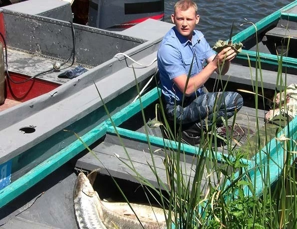 Хозяйка тайги (2009) в хорошем качестве через торрент Хозяйка тайги (2009) сериал в хорошем качестве через торрент