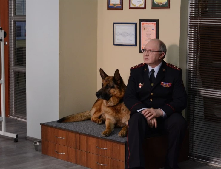 Возвращение Мухтара (2003) через торрент скачать Возвращение Мухтара (2003) сериал через торрент скачать