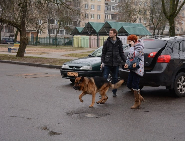 Возвращение Мухтара (2003) через торрент бесплатно Возвращение Мухтара (2003) сериал через торрент бесплатно