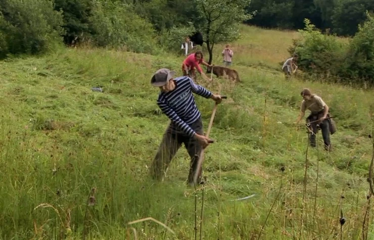Чудеса природы (2012) через торрент бесплатно Чудеса природы (2012) фильм через торрент бесплатно
