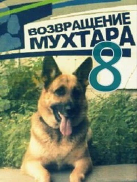 Возвращение Мухтара 8 (2012) cериал скачать через торрент в хорошем качестве